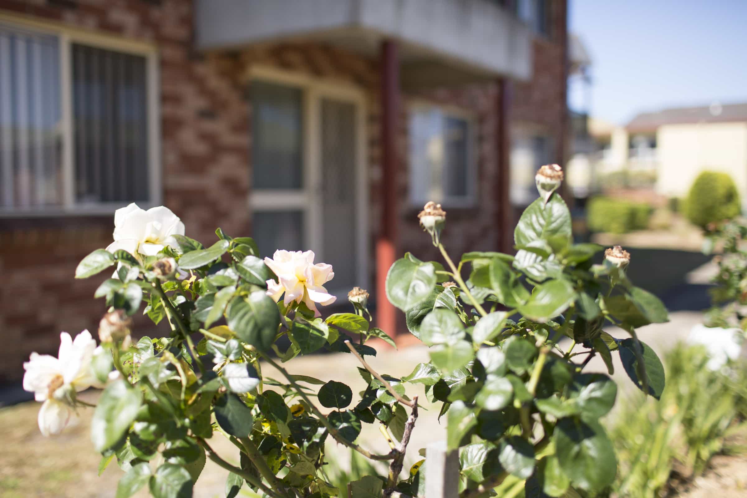 Glenfield Retirement Village