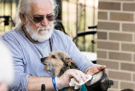 A resident with a dog as part of pet therapy at Whiddon Kelso.