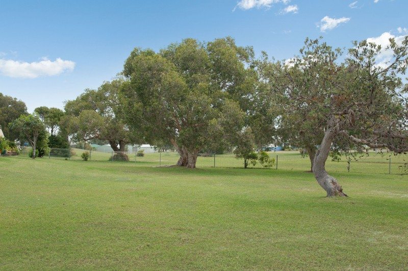 The spacious backyard of Whiddon's retirement village in Yamba which is lined with large leafy trees.