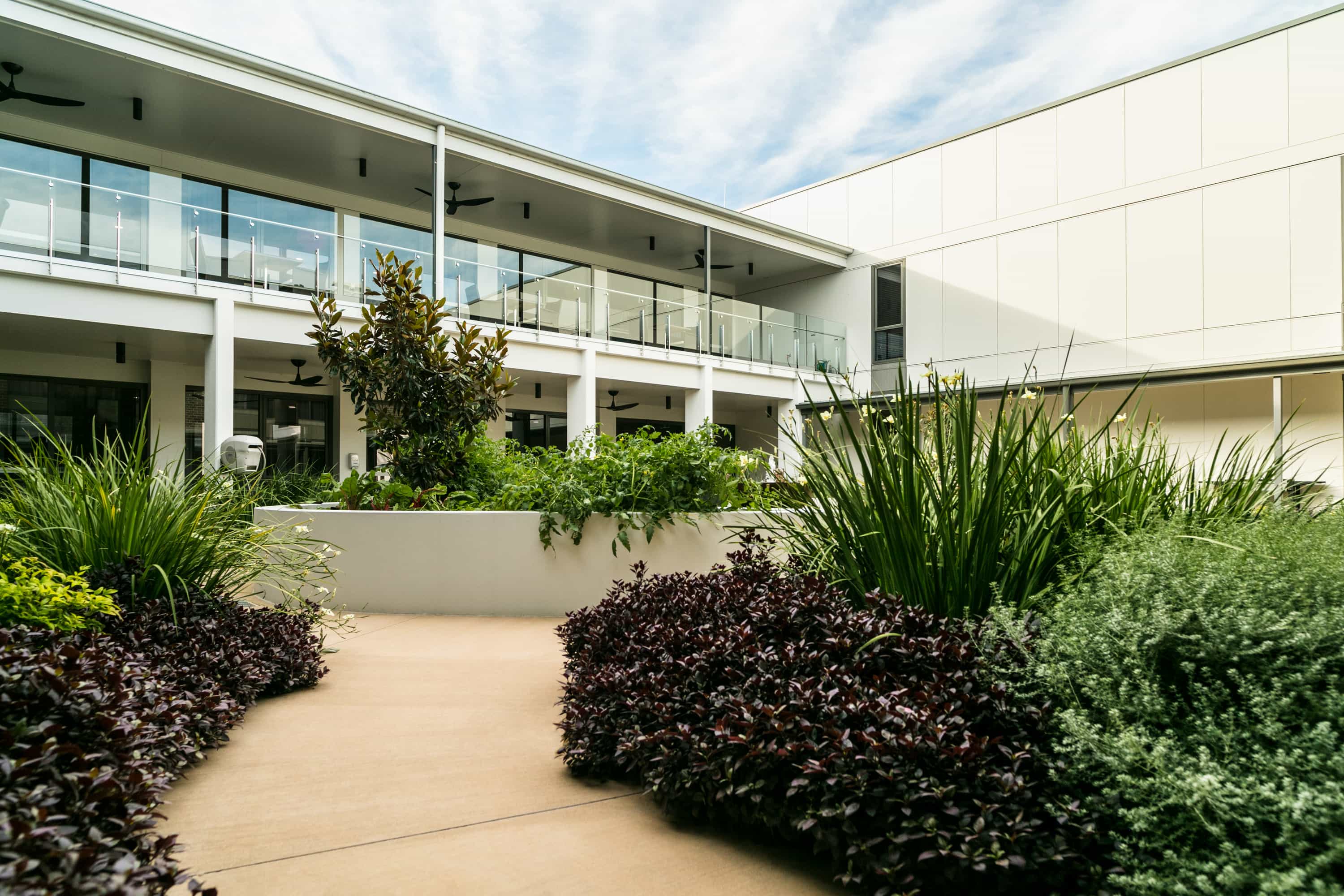 The luscious courtyard filled with green plants at Whiddon's aged care home in Grafton.