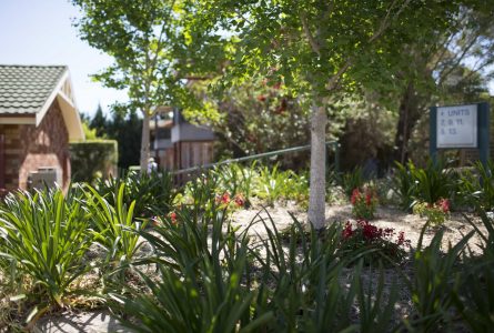 One of Whiddon Glenfield's luscious garden areas.